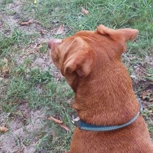 Meet your Posher, Jasmine